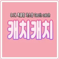 캐치캐치